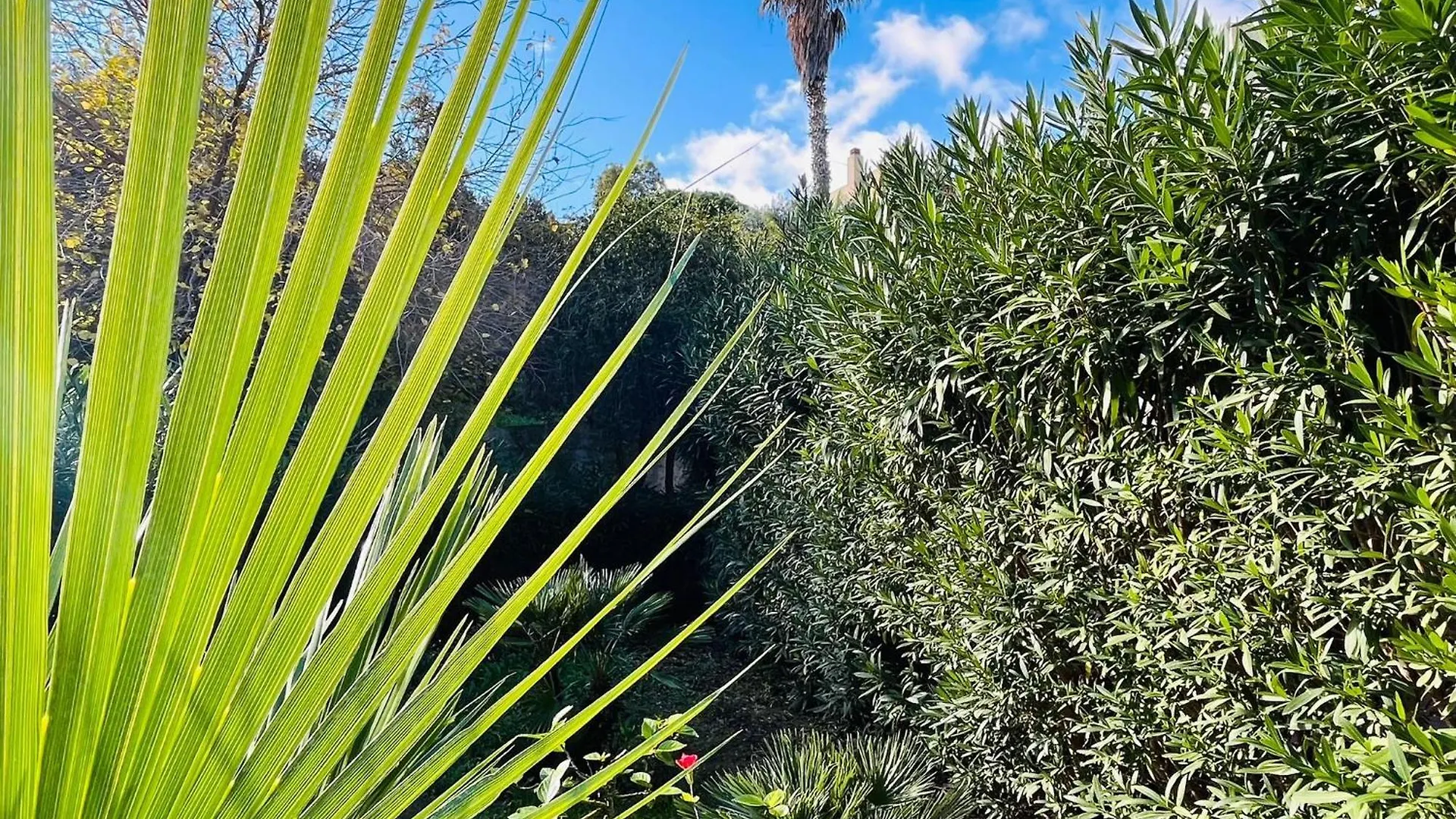 Villa Varo By Sicily Travelling Villas Scopello  0*, Scopello (Sicily)